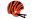 Cincinnati Bengals