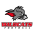 Kirchdorf Wildcats