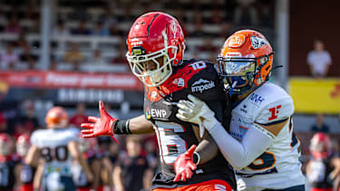 Die Dresden Monarchs, Pforzheim Wilddogs, Schwäbisch Hall Unicorns und Potsdam Royals stehen im Halbfinale der GFL-Playoffs 2026