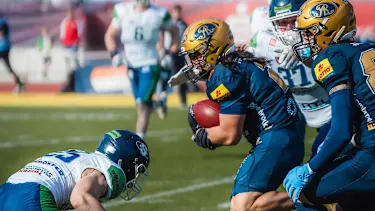 Szene aus dem GFL-Testspiel zwischen den Dresden Monarchs und den Straubing Spiders im Heinz-Steyer-Stadion - die Teams trennten sich 16:16.