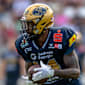GFL-Favoriten-Check: Dresden Monarchs