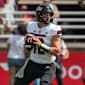 Aus den USA an die Elbe: Monarchs verpflichten neuen Quarterback