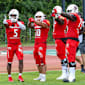Die Braunschweig Lions und der Neustart in die Wirklichkeit