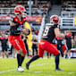 GFL-Favoriten-Check: Potsdam Royals