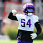 Vikings-Preseason-Schock: Adams fehlt die komplette Saison