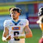 Totale Dominanz: Wroclaw Panthers überrollen Firenze Lions