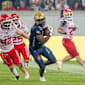 GFL Bowl in Dresden: Hier findet Football in Europa gerade wirklich statt