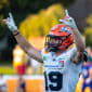 Ravensburg haben GFL-Süd-Meisterschaft so gut wie sicher