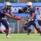 Hamburg Pioneers fordern Paderborn Dolphins in der Relegation heraus