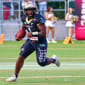 Dolphins sichern Klassenerhalt - Paderborn bleibt in der GFL