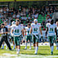 GFL-Favoriten-Check: Schwäbisch Hall Unicorns